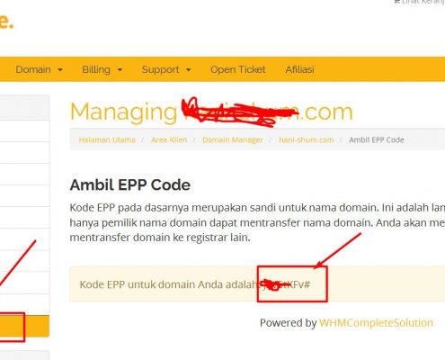 cara ambil kode epp domain