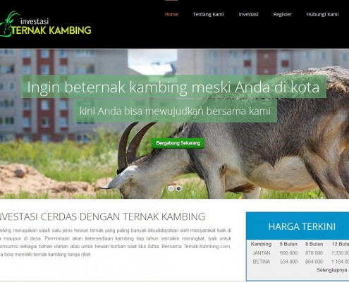 jasa pembuatan website investasi