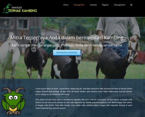 jasa pembuatan website investasi