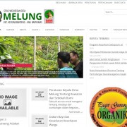 jasa-pembuatan-website-desa