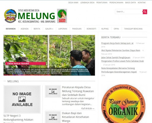 jasa-pembuatan-website-desa