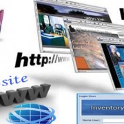 web profesional