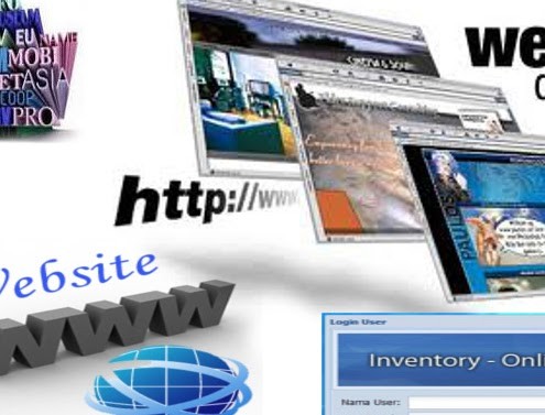 web profesional