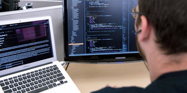 jasa web developer